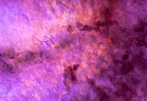 Purple Rice Extract