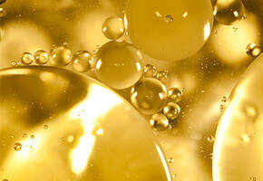 Ferulic Acid
