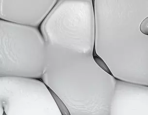 2% Fatty Acids