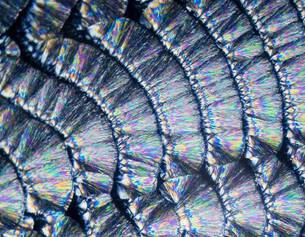 Antioxidant Combination