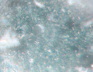 4% transparent micronized zinc oxide (Z-Cote®)