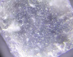 Zinc PCA Ingredient Image