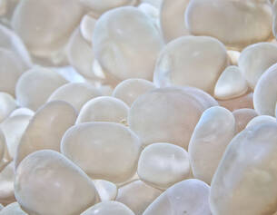 1.3% Hyaluronic Acid