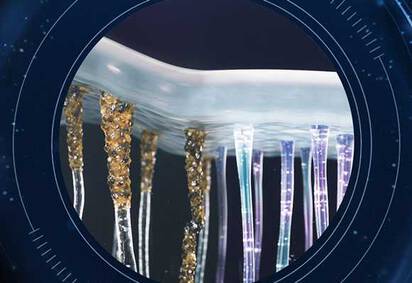 Hyaluronic Acid Serum Myths