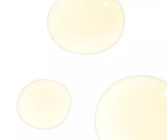 Silymarin