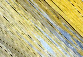 Phytic Acid