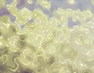 2% Fatty Acids
