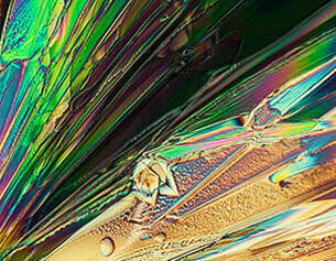 Antioxidant Combination