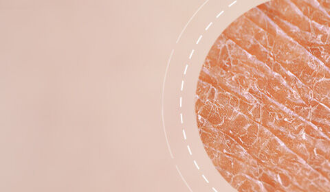 Anti-Aging Creams SkinCeuticals