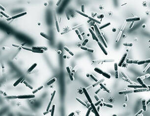 Antioxidant Combination