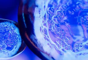 Blueberry Extract