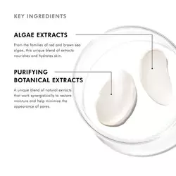 Daily Moisture Cream for Oily Skin