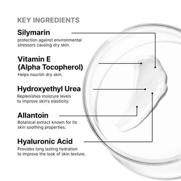 Antioxidant Lip Repair