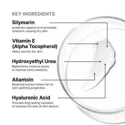 Antioxidant Lip Repair Treatment