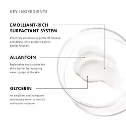 Gentle Cleanser