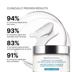 Clarifying Clay Mask