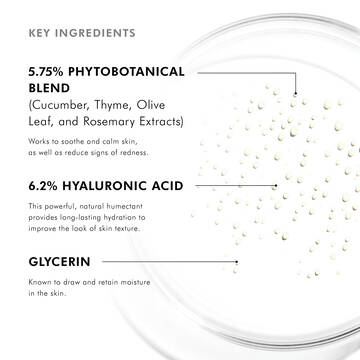 Phyto Corrective Essence Mist