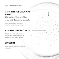 Phyto Corrective Essence Mist