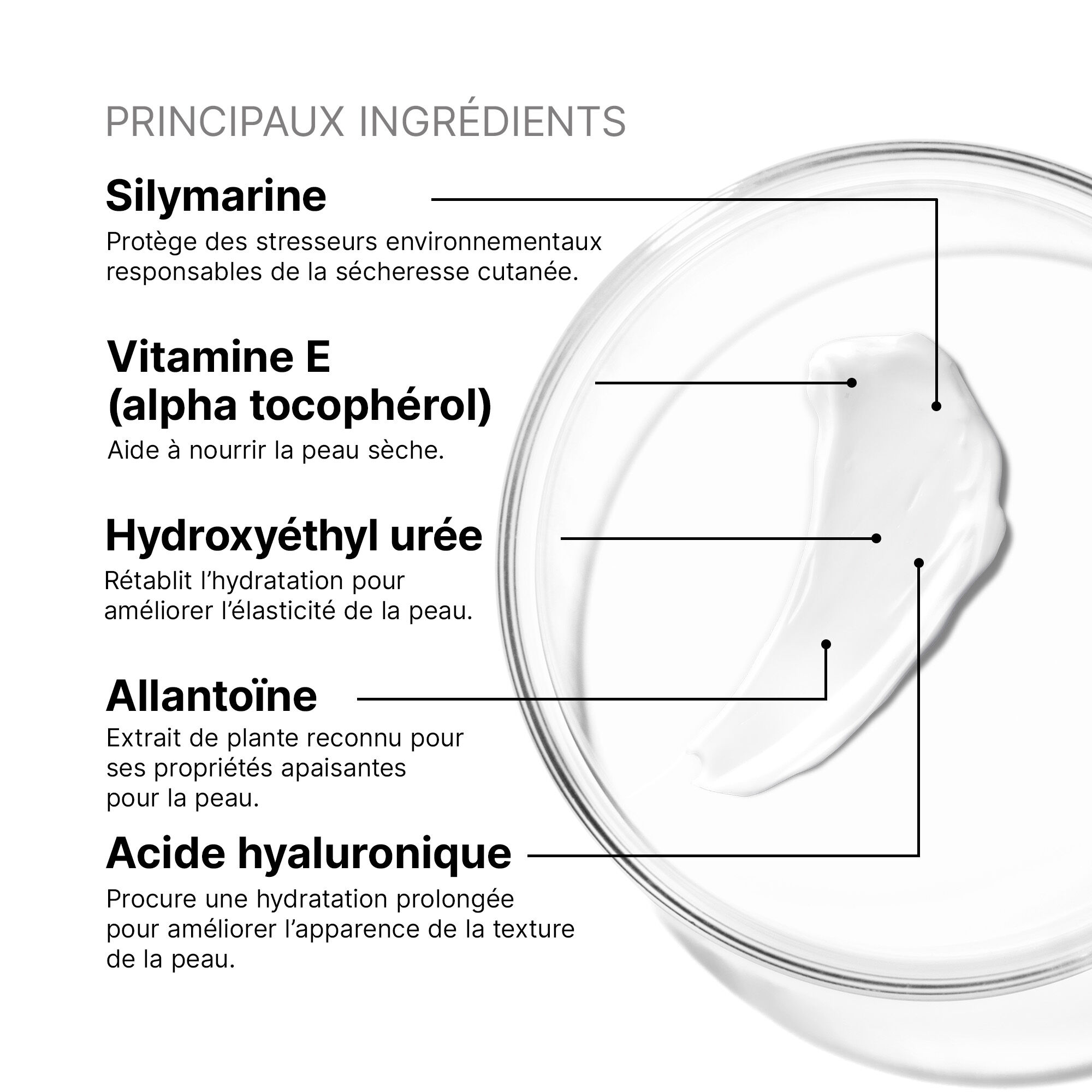 Antioxidant Lip Repair