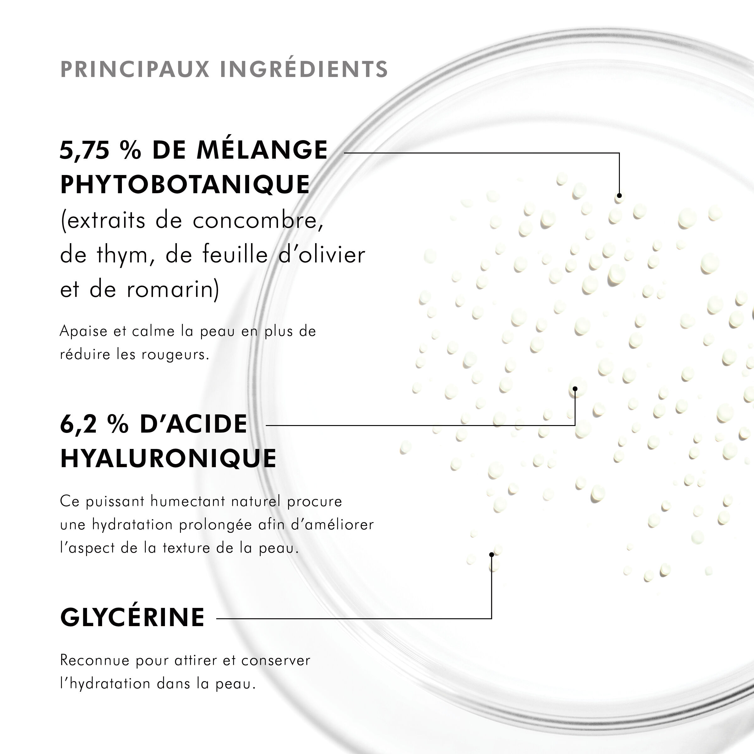 Phyto Corrective Essence Mist