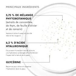 Phyto Corrective Essence Mist