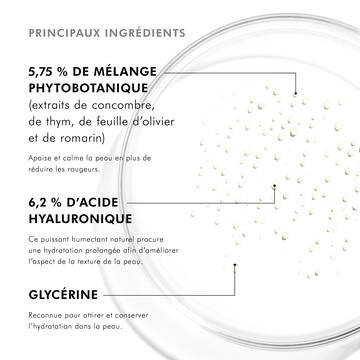 Phyto Corrective Essence Mist